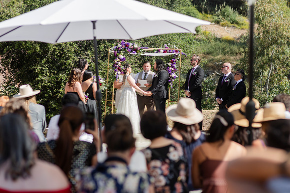 Gabe_Ali_Wedding_Reptacular_6.22.24-286