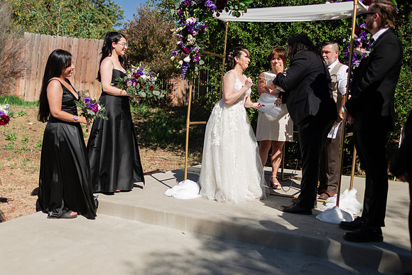 Gabe_Ali_Wedding_Reptacular_6.22.24-294