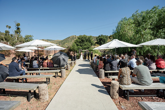 Gabe_Ali_Wedding_Reptacular_6.22.24-307