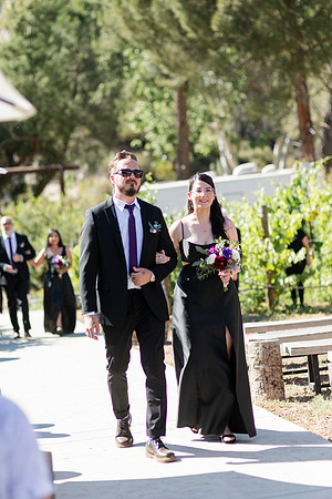 Gabe_Ali_Wedding_Reptacular_6.22.24-267