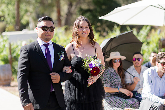 Gabe_Ali_Wedding_Reptacular_6.22.24-271