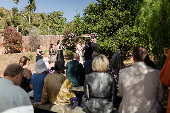 Gabe_Ali_Wedding_Reptacular_6.22.24-289