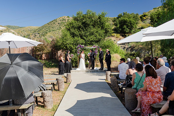 Gabe_Ali_Wedding_Reptacular_6.22.24-308