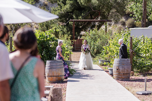 Gabe_Ali_Wedding_Reptacular_6.22.24-274