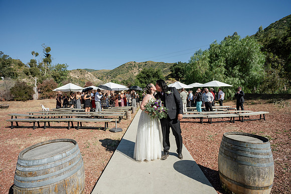 Gabe_Ali_Wedding_Reptacular_6.22.24-324