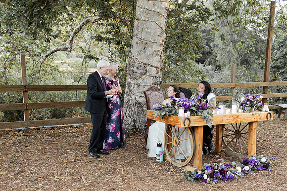 Gabe_Ali_Wedding_Reptacular_6.22.24-610