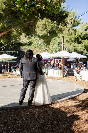 Gabe_Ali_Wedding_Reptacular_6.22.24-596