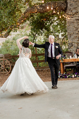 Gabe_Ali_Wedding_Reptacular_6.22.24-664