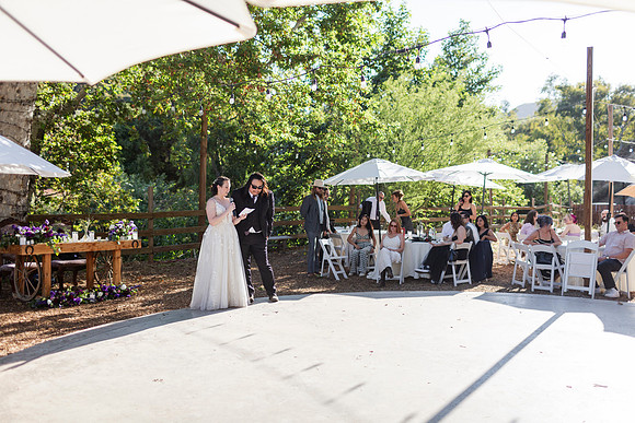 Gabe_Ali_Wedding_Reptacular_6.22.24-595