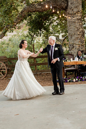 Gabe_Ali_Wedding_Reptacular_6.22.24-663