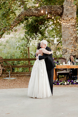 Gabe_Ali_Wedding_Reptacular_6.22.24-665