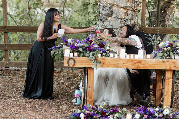 Gabe_Ali_Wedding_Reptacular_6.22.24-629