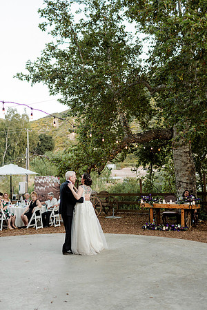 Gabe_Ali_Wedding_Reptacular_6.22.24-661