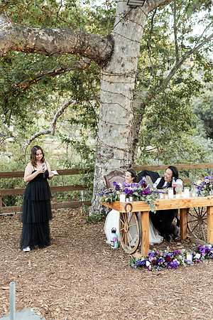 Gabe_Ali_Wedding_Reptacular_6.22.24-617