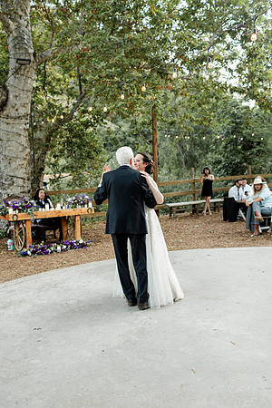 Gabe_Ali_Wedding_Reptacular_6.22.24-658