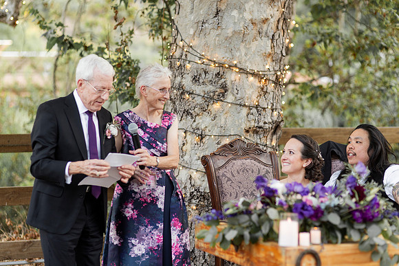 Gabe_Ali_Wedding_Reptacular_6.22.24-598