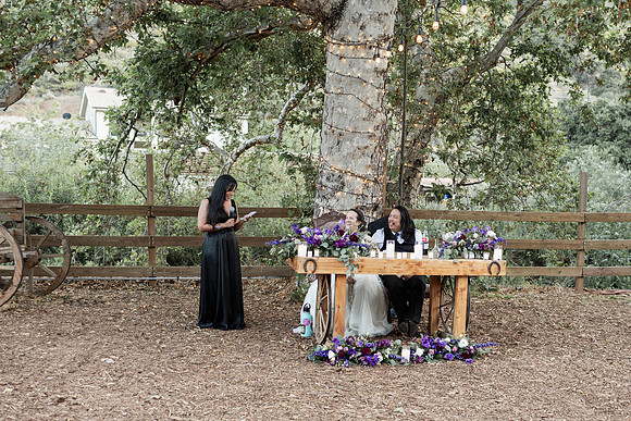 Gabe_Ali_Wedding_Reptacular_6.22.24-627