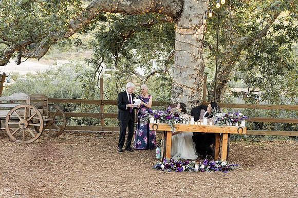 Gabe_Ali_Wedding_Reptacular_6.22.24-605