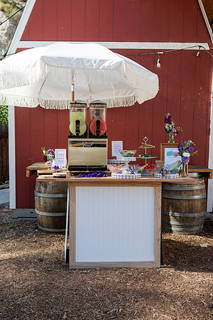 Gabe_Ali_Wedding_Reptacular_6.22.24-69