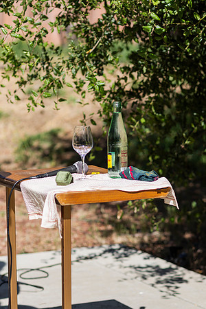 Gabe_Ali_Wedding_Reptacular_6.22.24-62