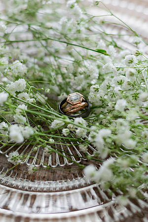 Gabe_Ali_Wedding_Reptacular_6.22.24-30