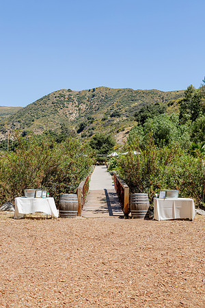 Gabe_Ali_Wedding_Reptacular_6.22.24-46