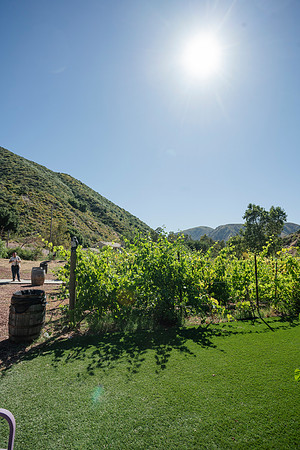 Gabe_Ali_Wedding_Reptacular_6.22.24-65