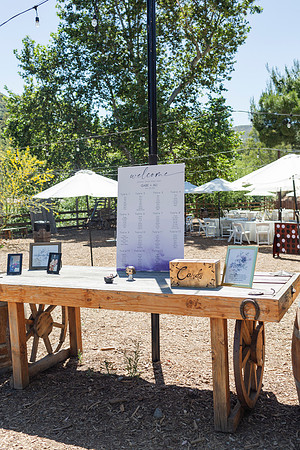 Gabe_Ali_Wedding_Reptacular_6.22.24-48
