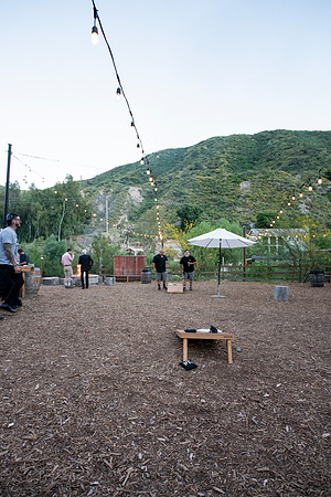 Gabe_Ali_Wedding_Reptacular_6.22.24-86