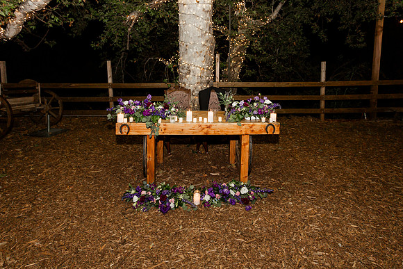Gabe_Ali_Wedding_Reptacular_6.22.24-85