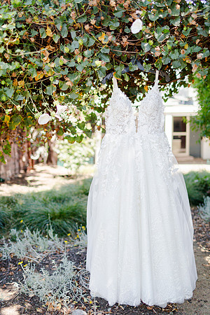 Gabe_Ali_Wedding_Reptacular_6.22.24-14