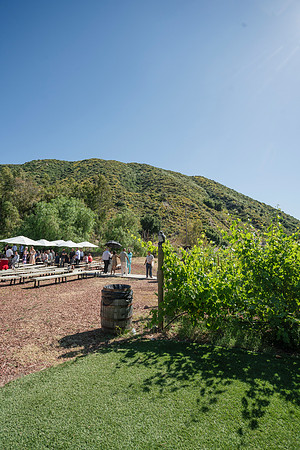 Gabe_Ali_Wedding_Reptacular_6.22.24-66