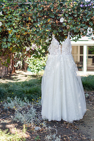 Gabe_Ali_Wedding_Reptacular_6.22.24-13