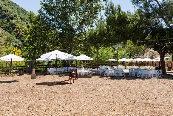 Gabe_Ali_Wedding_Reptacular_6.22.24-55
