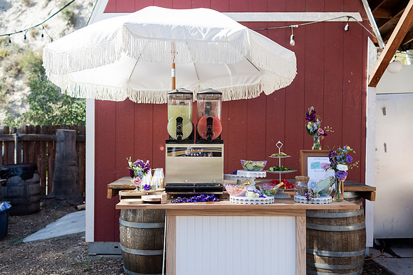 Gabe_Ali_Wedding_Reptacular_6.22.24-73