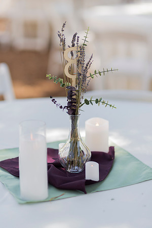 Gabe_Ali_Wedding_Reptacular_6.22.24-38