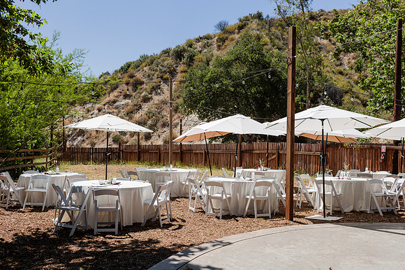 Gabe_Ali_Wedding_Reptacular_6.22.24-39