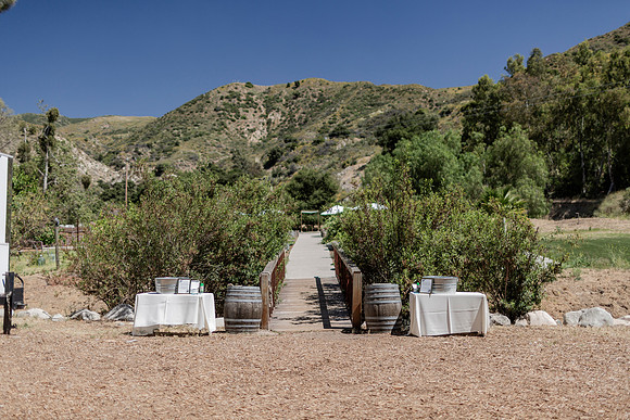Gabe_Ali_Wedding_Reptacular_6.22.24-45