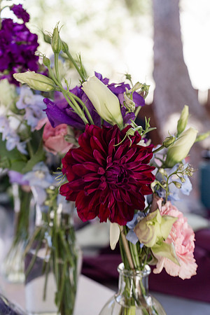 Gabe_Ali_Wedding_Reptacular_6.22.24-54