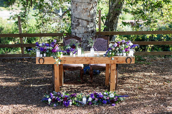 Gabe_Ali_Wedding_Reptacular_6.22.24-77