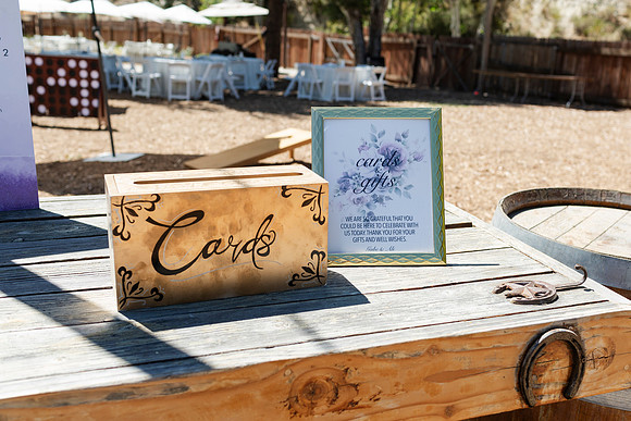 Gabe_Ali_Wedding_Reptacular_6.22.24-52