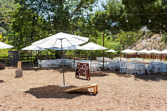 Gabe_Ali_Wedding_Reptacular_6.22.24-53