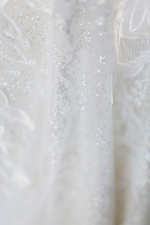 Gabe_Ali_Wedding_Reptacular_6.22.24-17
