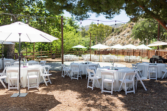 Gabe_Ali_Wedding_Reptacular_6.22.24-36