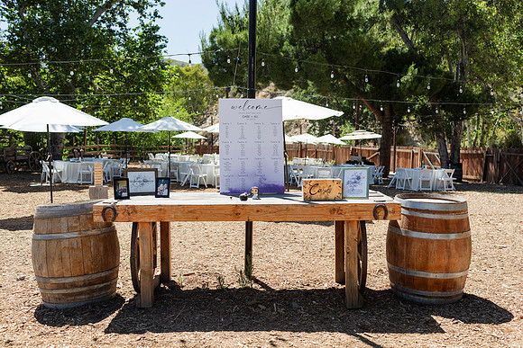 Gabe_Ali_Wedding_Reptacular_6.22.24-47