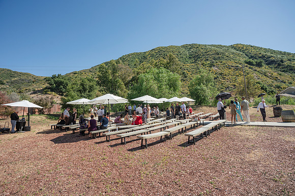 Gabe_Ali_Wedding_Reptacular_6.22.24-64