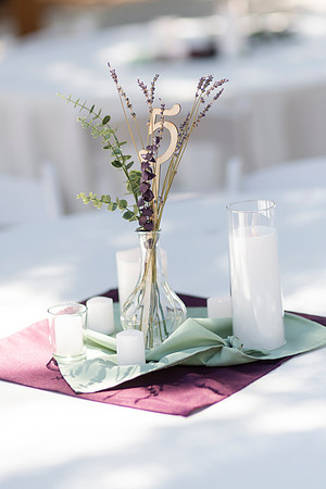 Gabe_Ali_Wedding_Reptacular_6.22.24-37