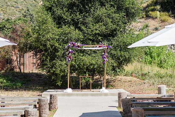 Gabe_Ali_Wedding_Reptacular_6.22.24-58