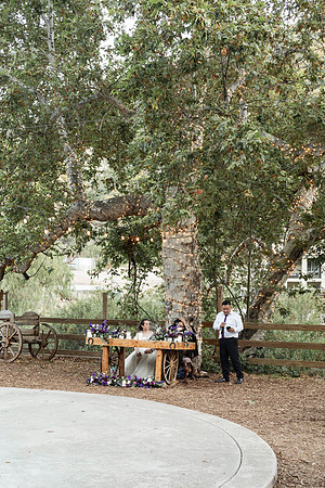 Gabe_Ali_Wedding_Reptacular_6.22.24-621