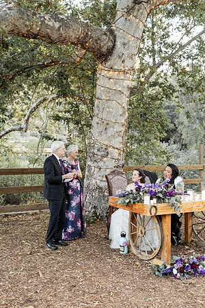 Gabe_Ali_Wedding_Reptacular_6.22.24-609